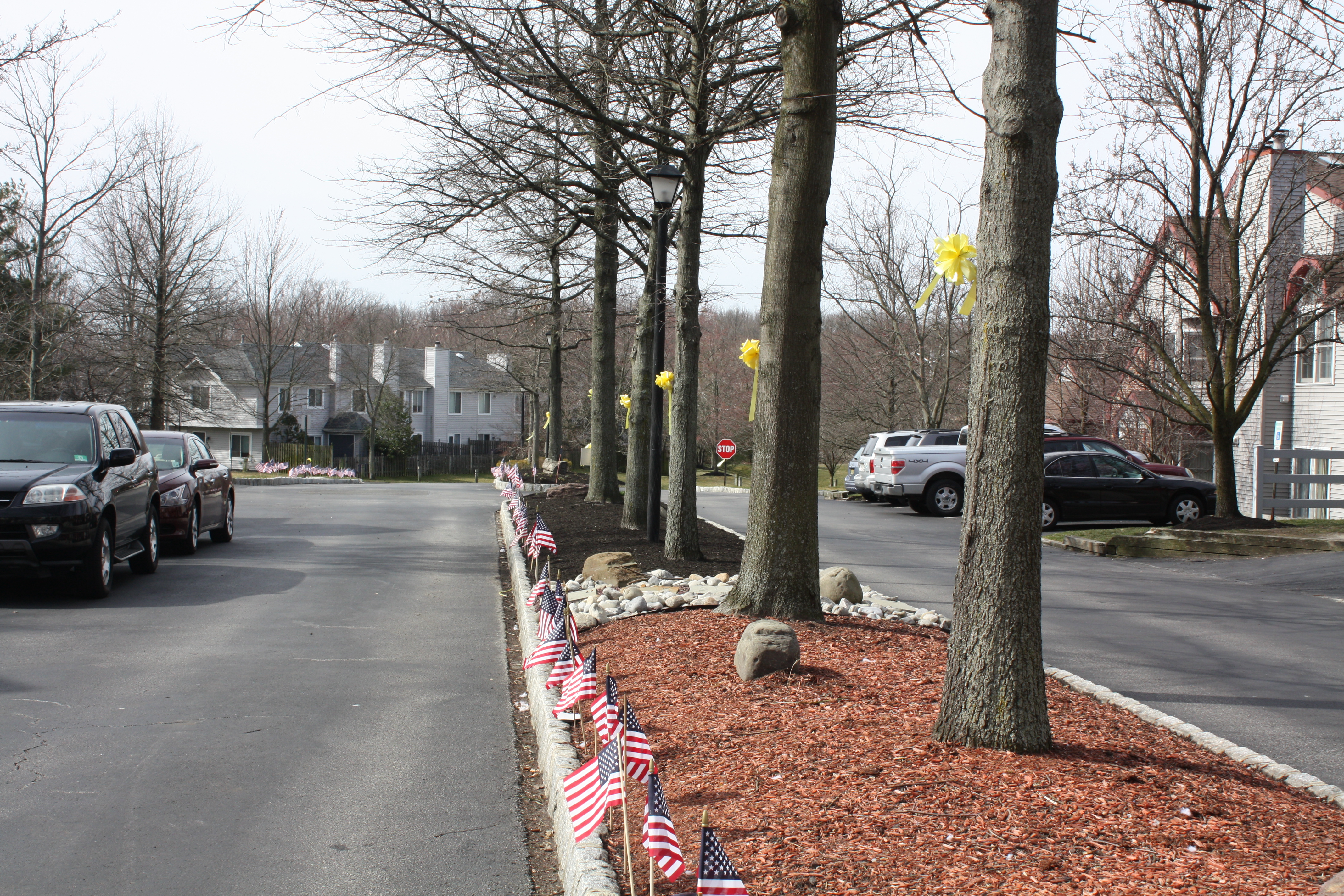 Welcome Home Major Gaber 2